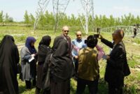 آغاز عملیات اجرایی نصب برج خط چهار مداره غرب رشت – انزلی – پره سر