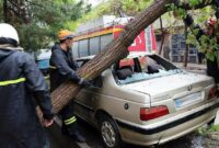 شهروندان از پارک خودرو در مجاورت درختان معابر رشت خودداری کنند