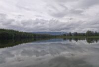 فومن رویایی