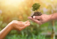 به بهانه روز طبیعت ،طبیعت‌گردی بدون آسیب؛ سفری با احترام به زمین